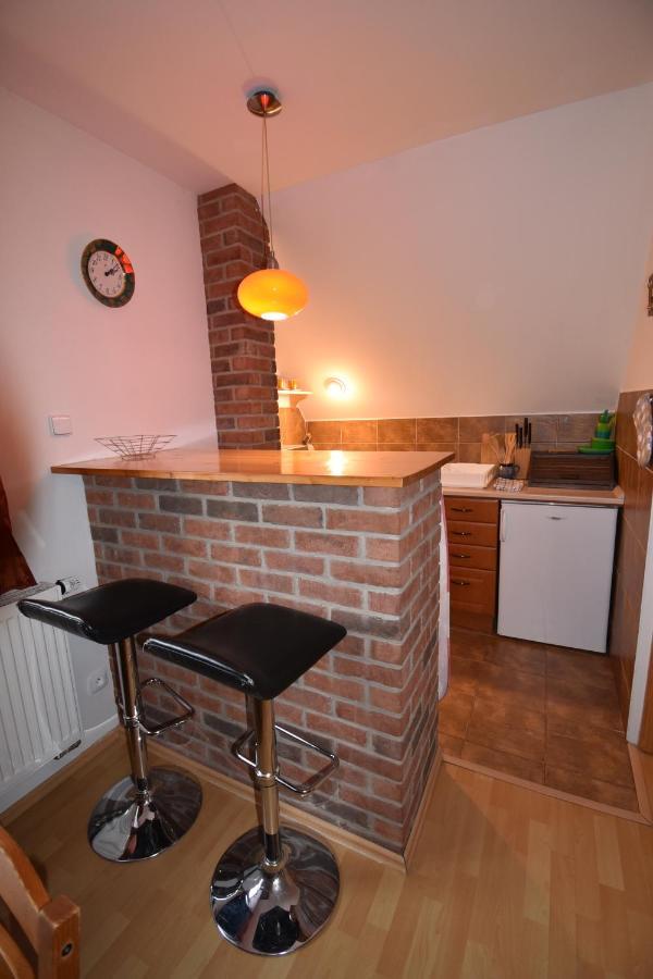 Apartmány Sněženka Destné v Orlických horách Exterior foto