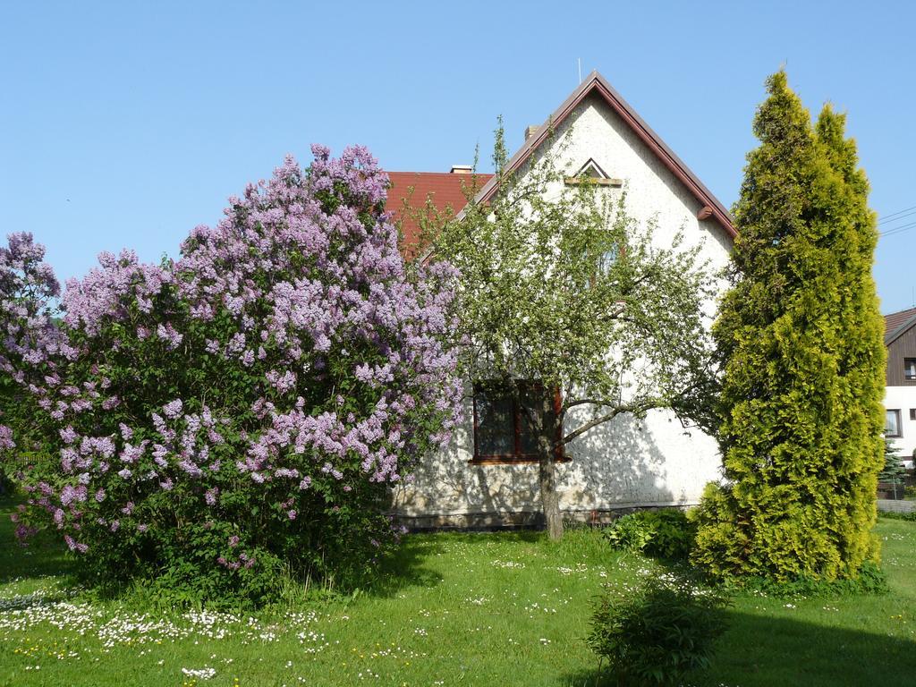 Apartmány Sněženka Destné v Orlických horách Exterior foto